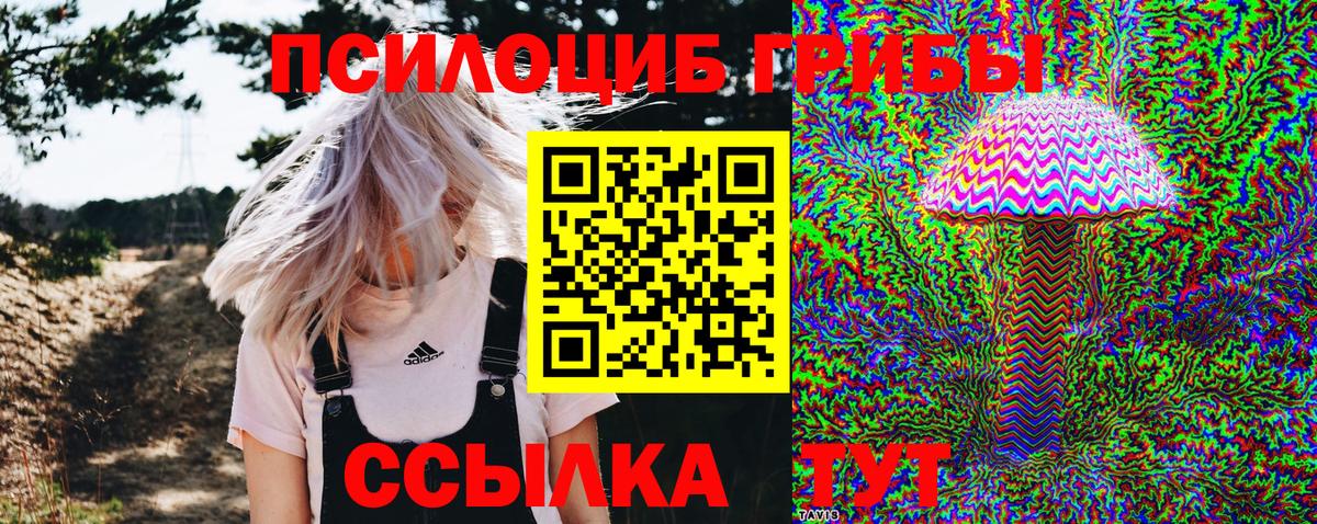 Галлюциногенные грибы прущие грибы Нижний Тагил